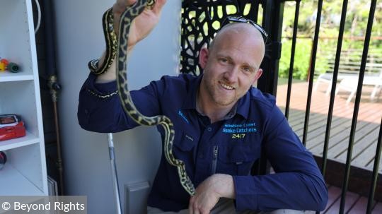 Ormfångare i Australien