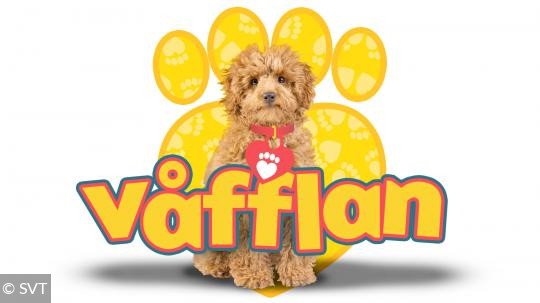 Våfflan
